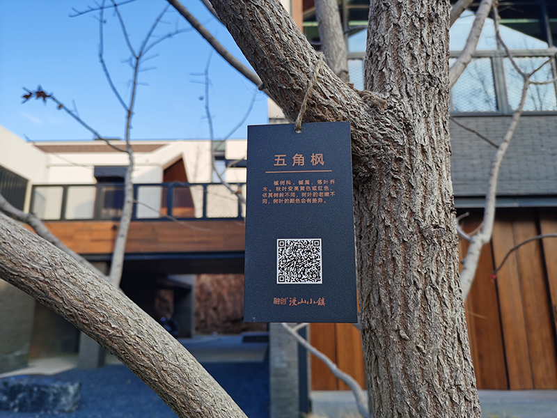 戶外不銹鋼樹(shù)銘牌