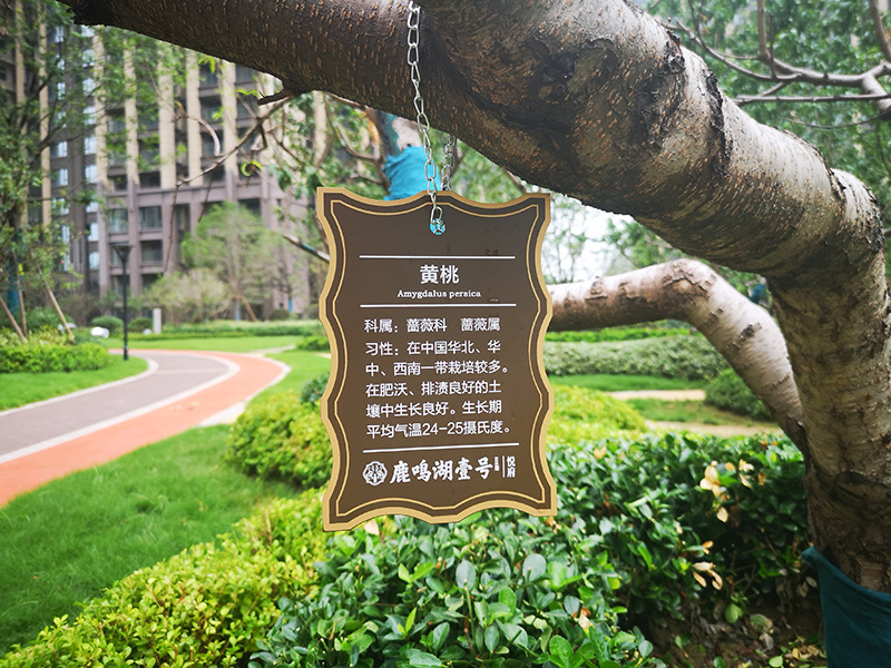 鹿鳴湖壹號(hào).樹銘牌