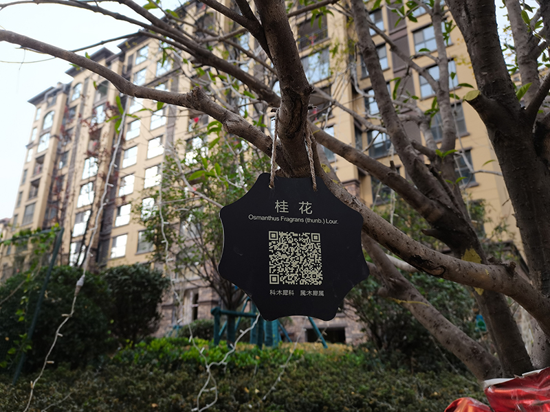 小區(qū)戶外樹(shù)名牌